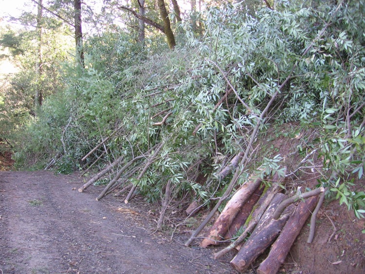 brush clearing