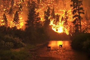 Weekly News Round-Up: Nov. 25, 2022