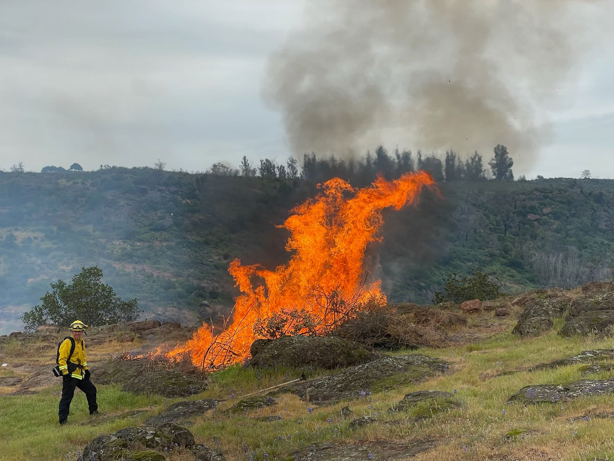 Wildfire Season: How to stop California Burning