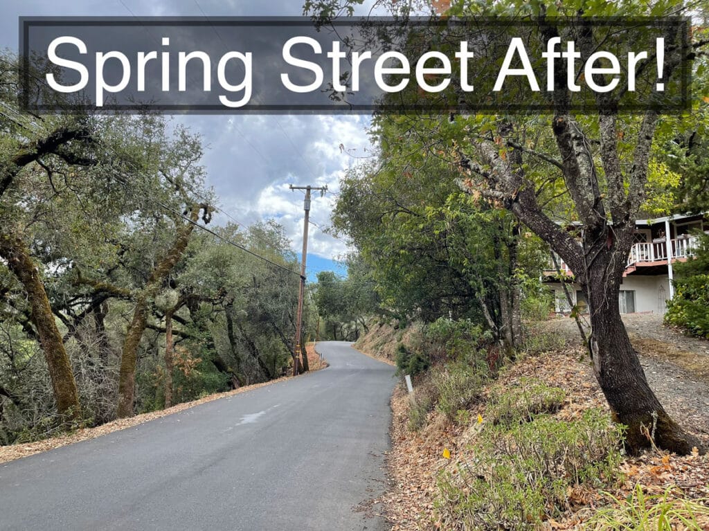 Street view of cleaned up bushes and trees