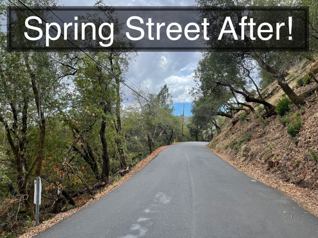 Street view of cleaned up bushes and trees