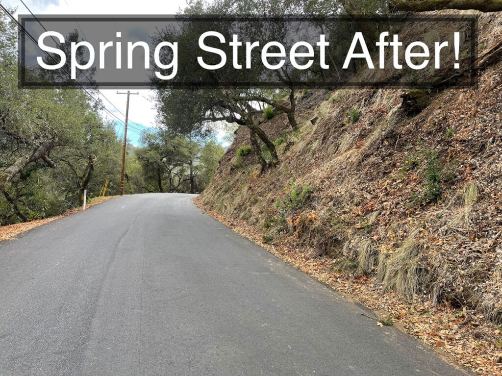 Street view of cleaned up bushes and trees