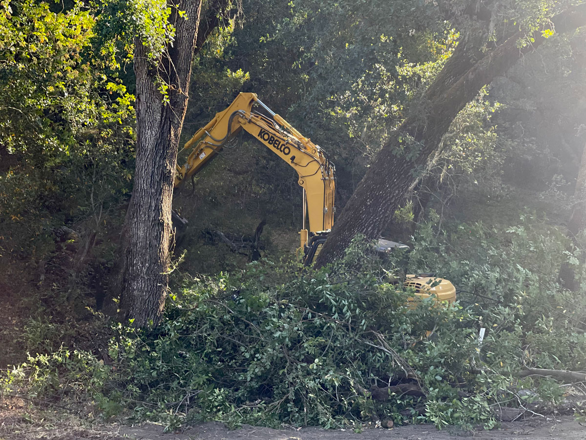 Spring Street Clean Up