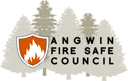 Angwin FSC logo