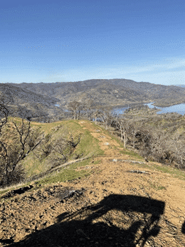 Dirt trail with bare trees overlooking lake