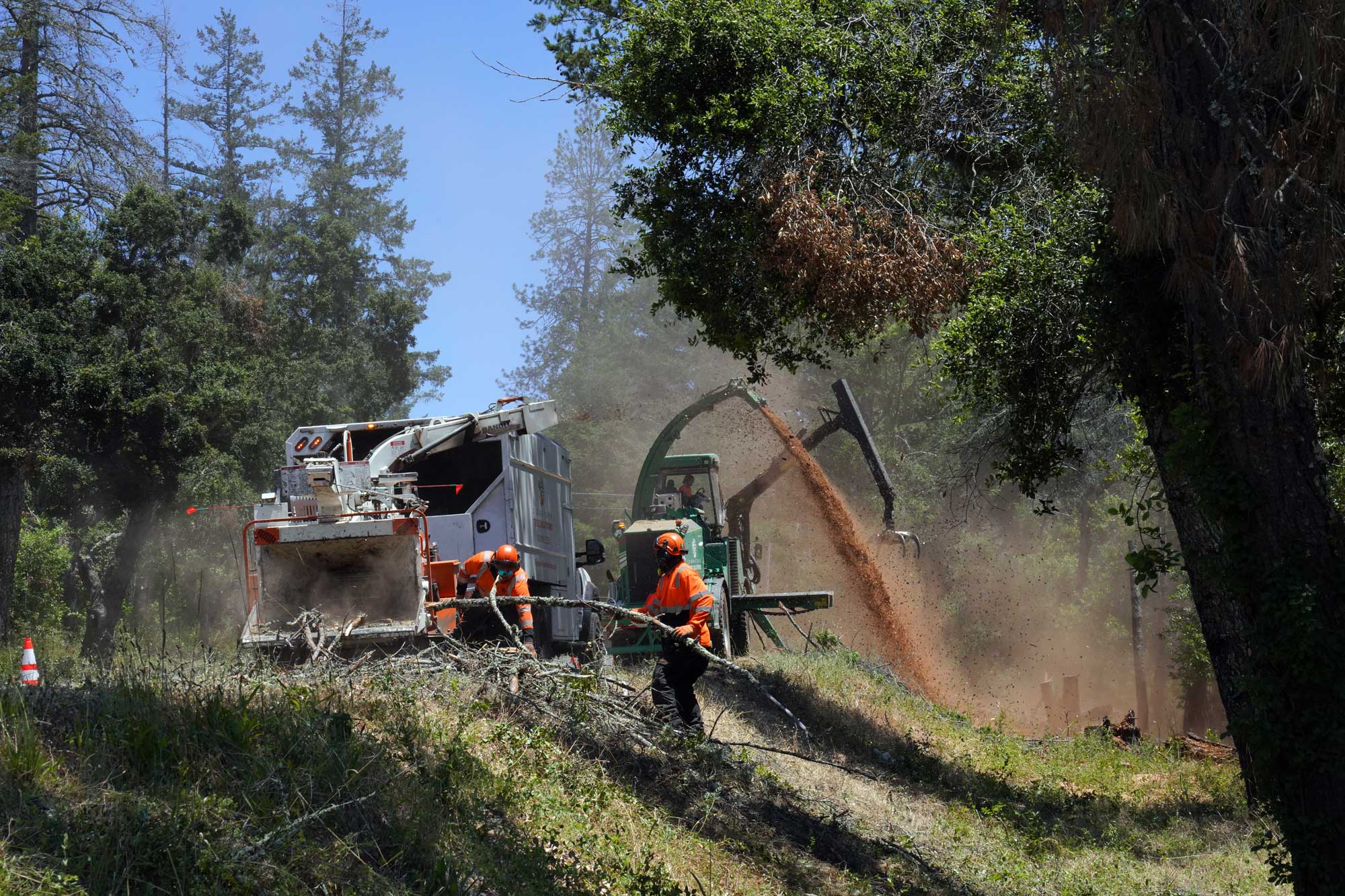 Angwin Fuels Reduction – Howell Mountain Roadside