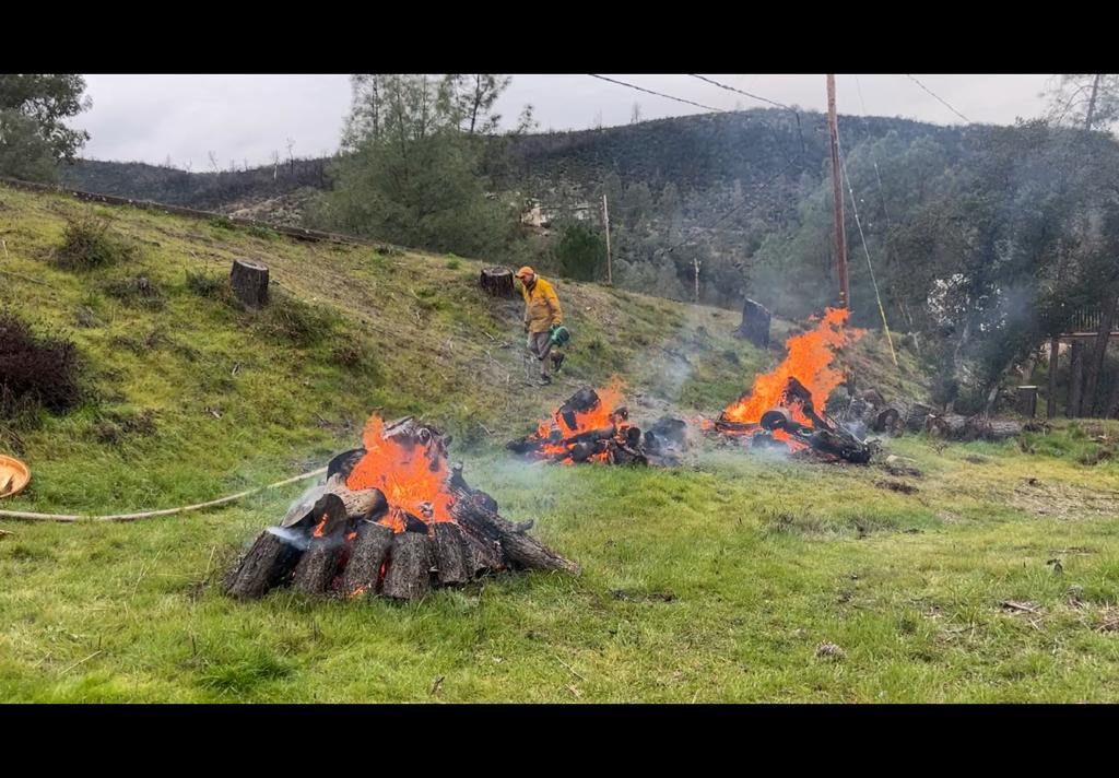Your Burning Questions: Winter Defensible Space