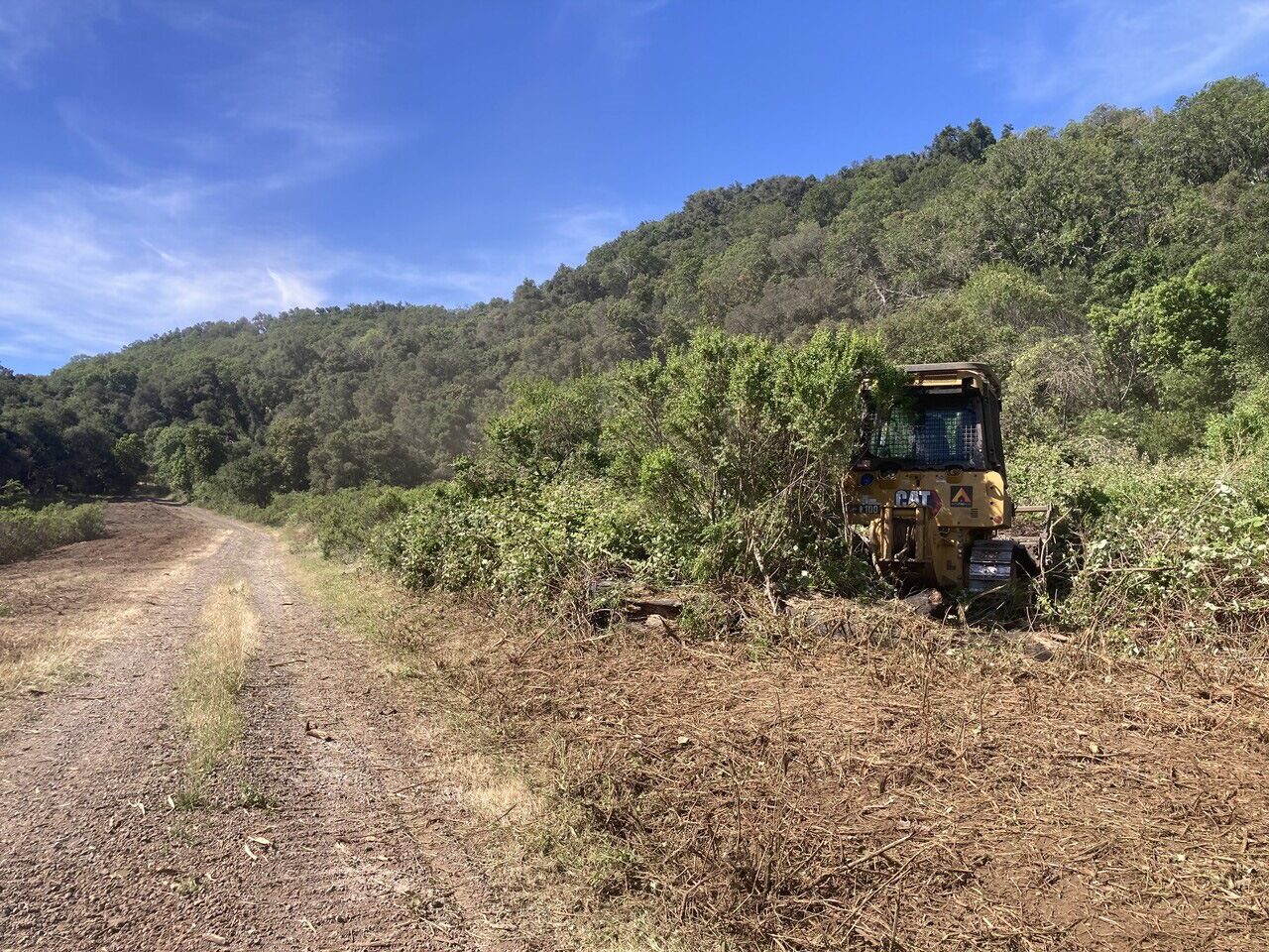 dozer working to clear a roadside
